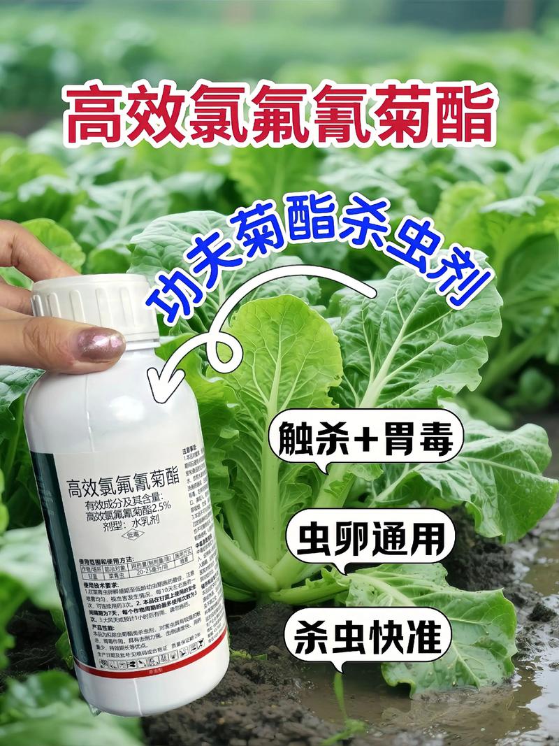 鸡西代生中心:农药对供卵代生妈妈的危害